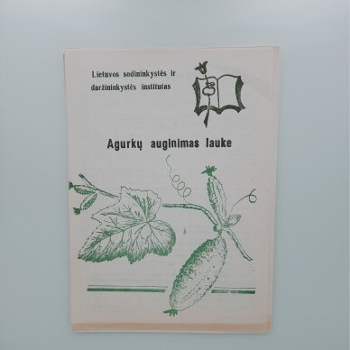 Agurkų auginimas lauke