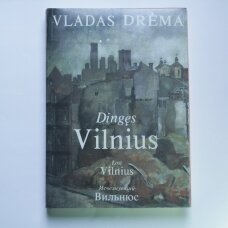 Dingęs Vilnius