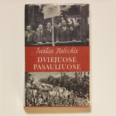 Dviejuose pasauliuose