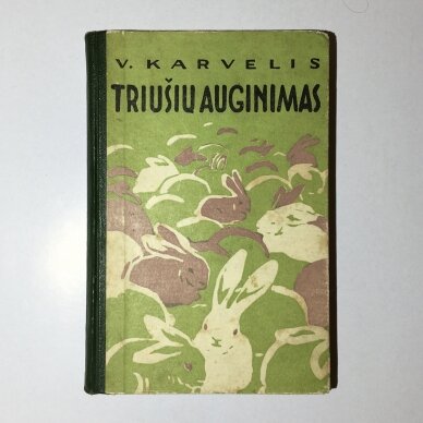 Triušių auginimas